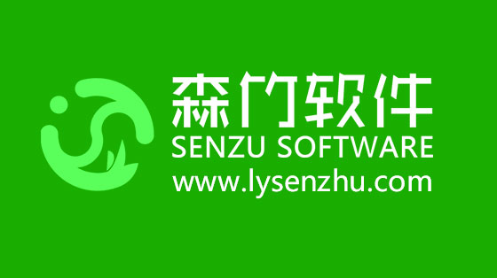 選擇森竹軟件服務(wù)，開發(fā)少走很多彎路！