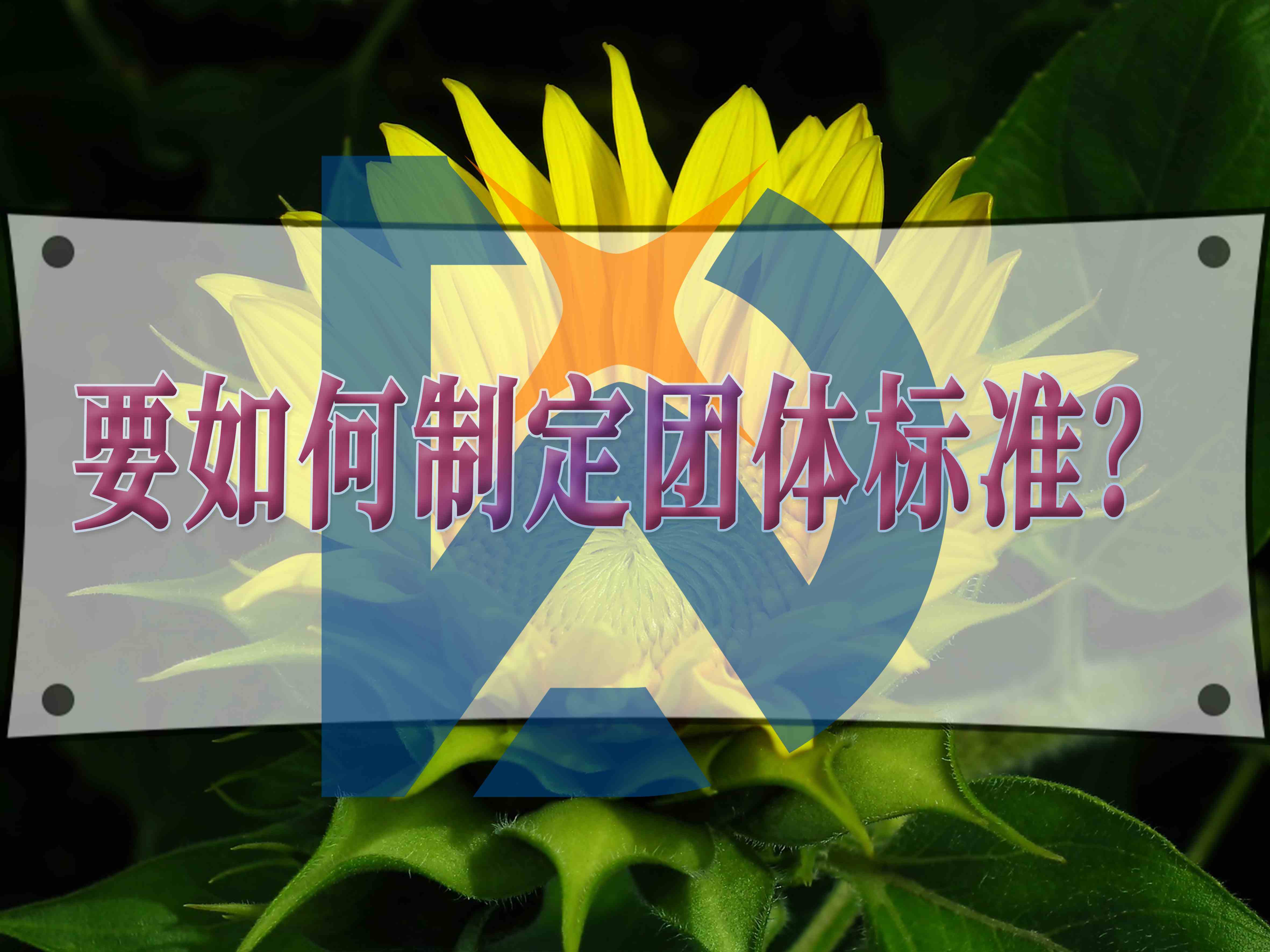 要如何制定團體標準？