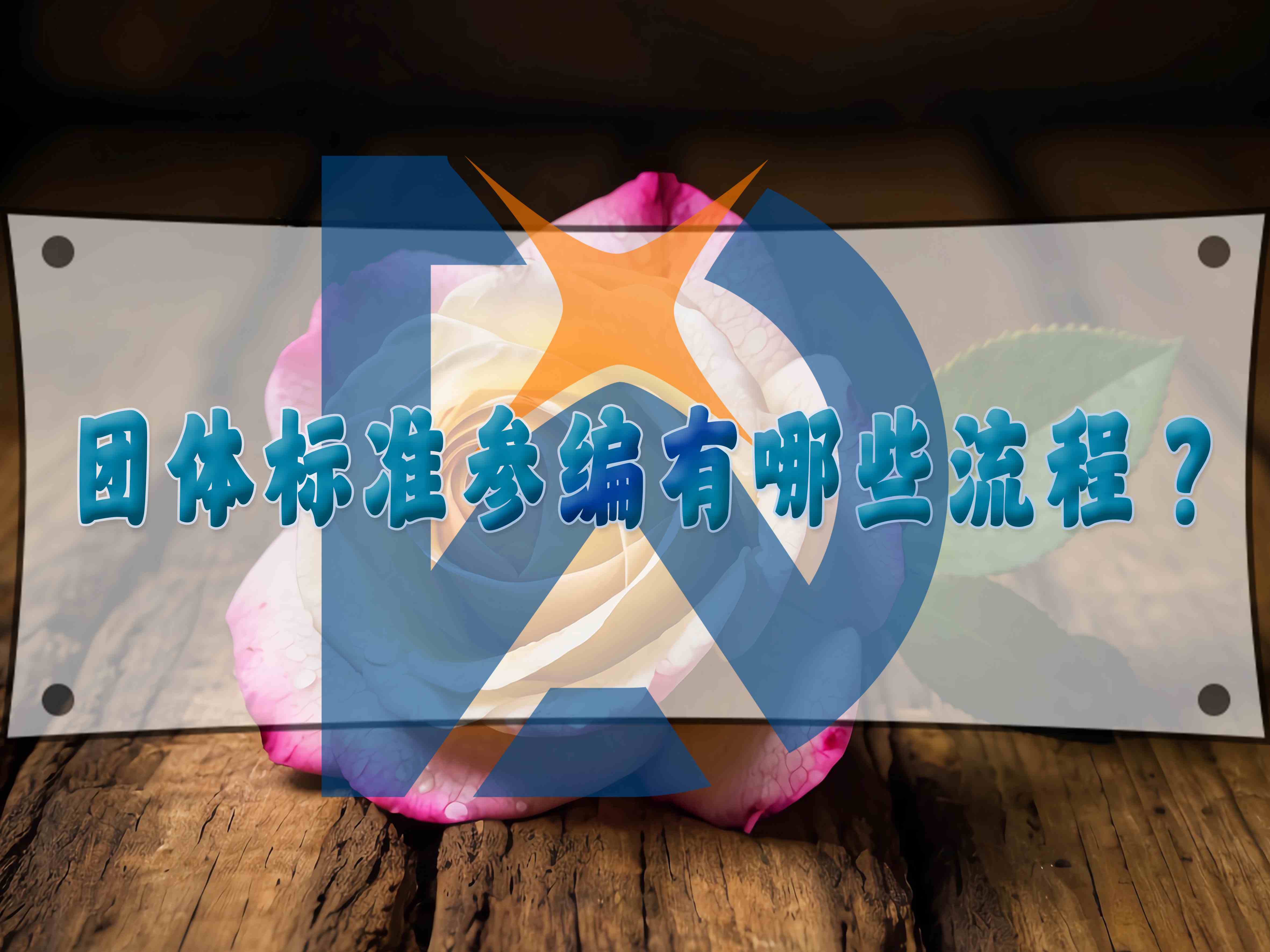 團體標準參編有哪些流程？