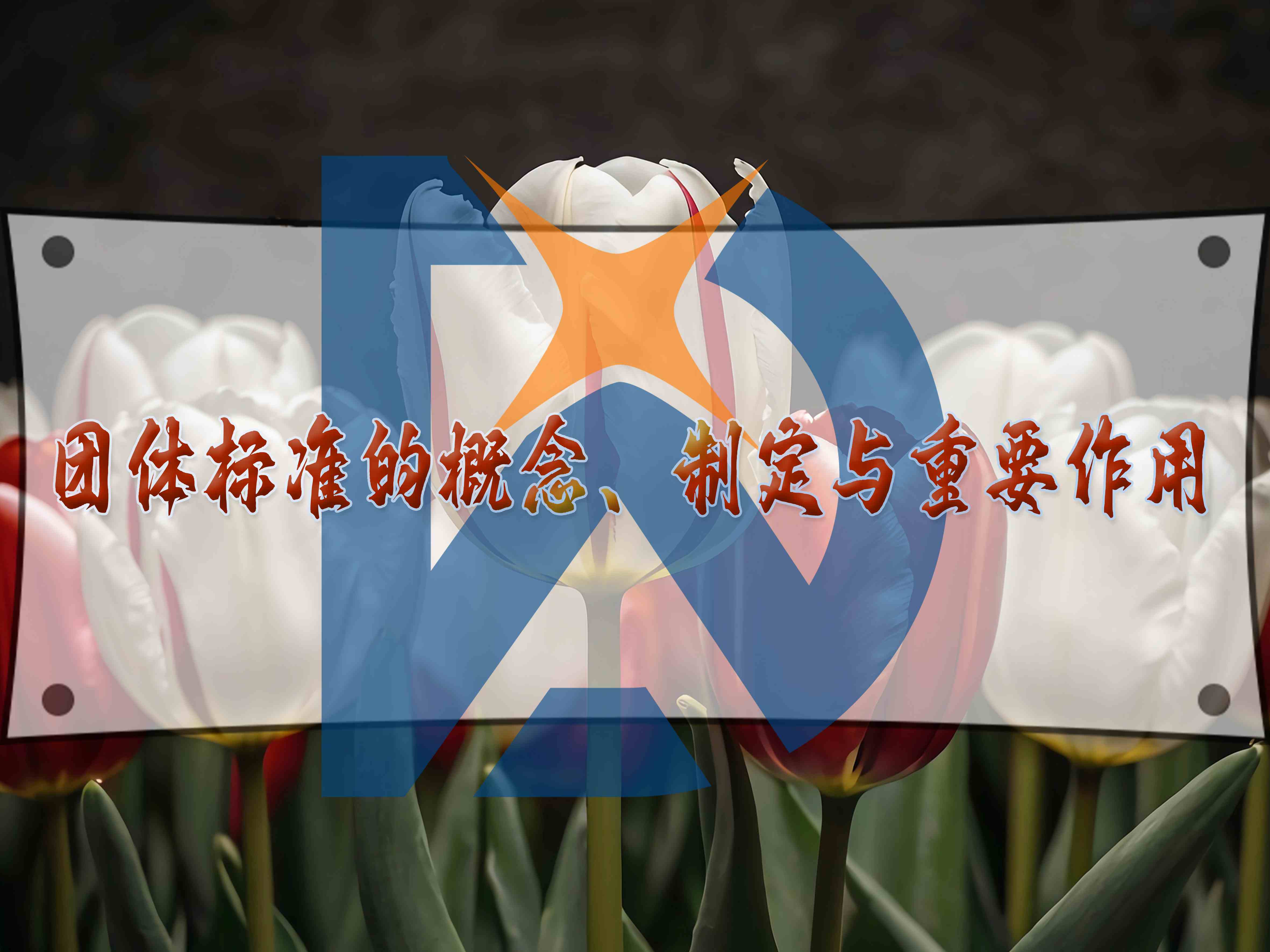 團體標準的概念、制定與重要作用