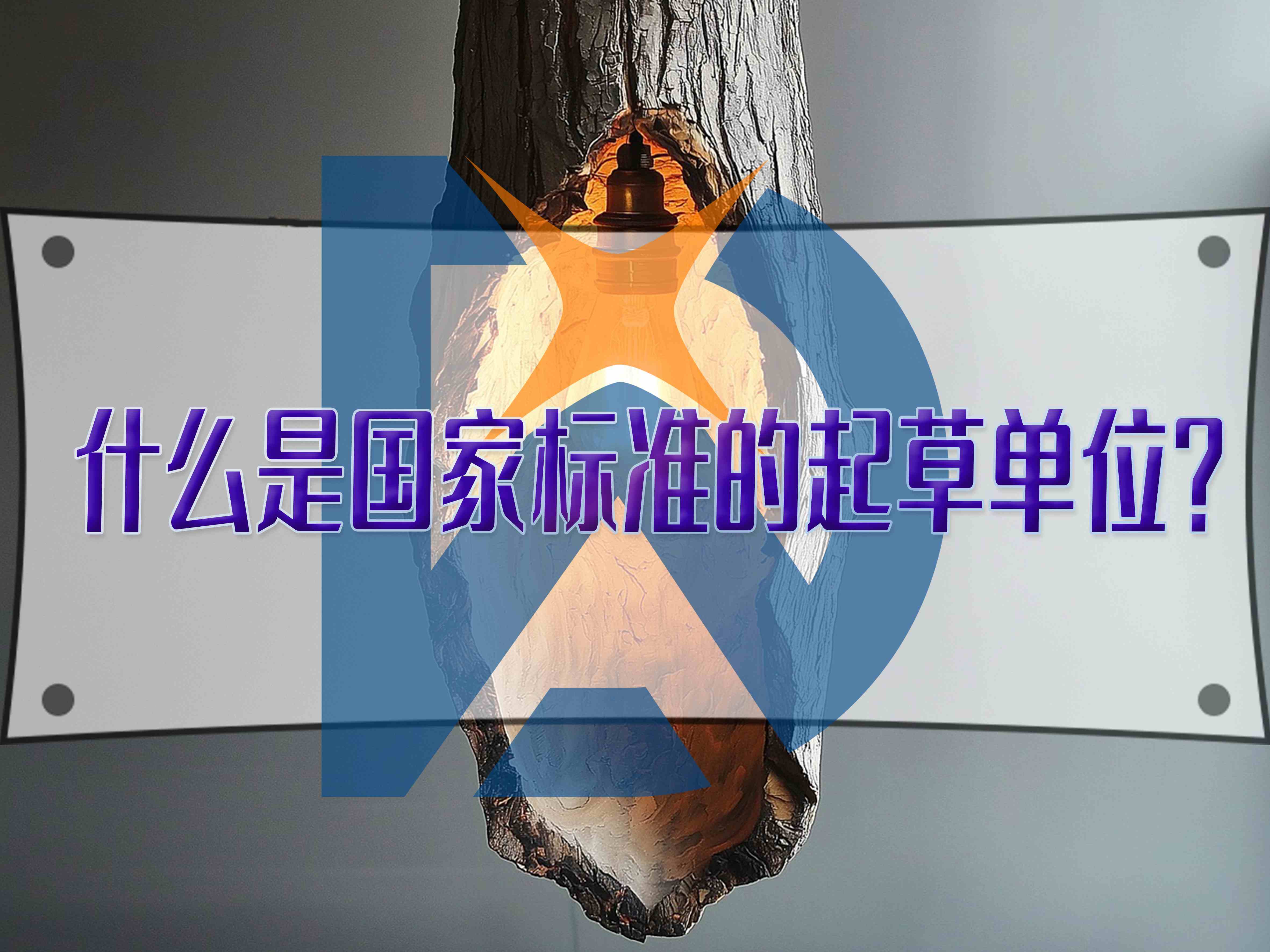 什么是國家標(biāo)準(zhǔn)的起草單位？