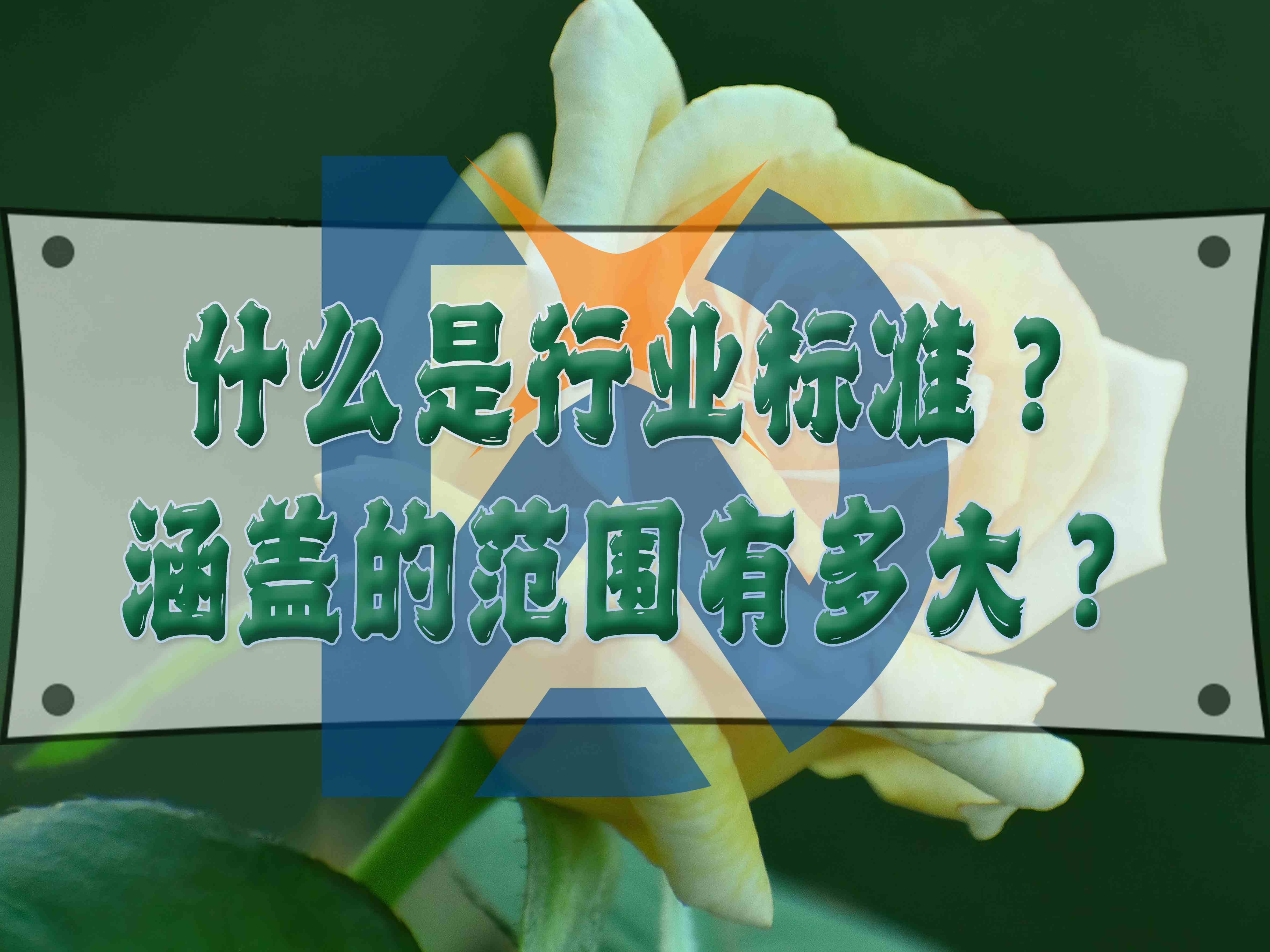 什么是行業(yè)標(biāo)準(zhǔn)？涵蓋的范圍有多大？