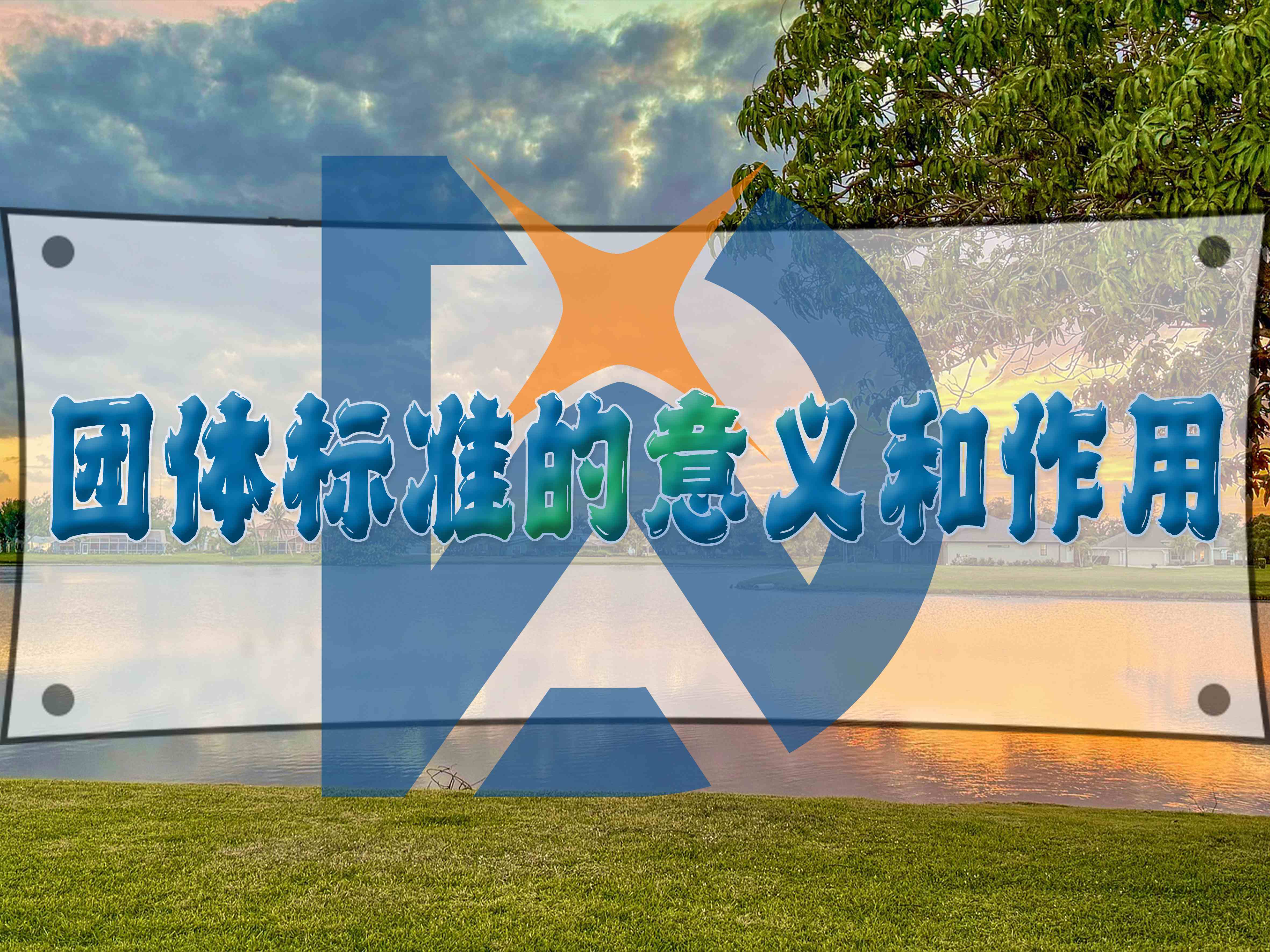 團(tuán)體標(biāo)準(zhǔn)的意義和作用