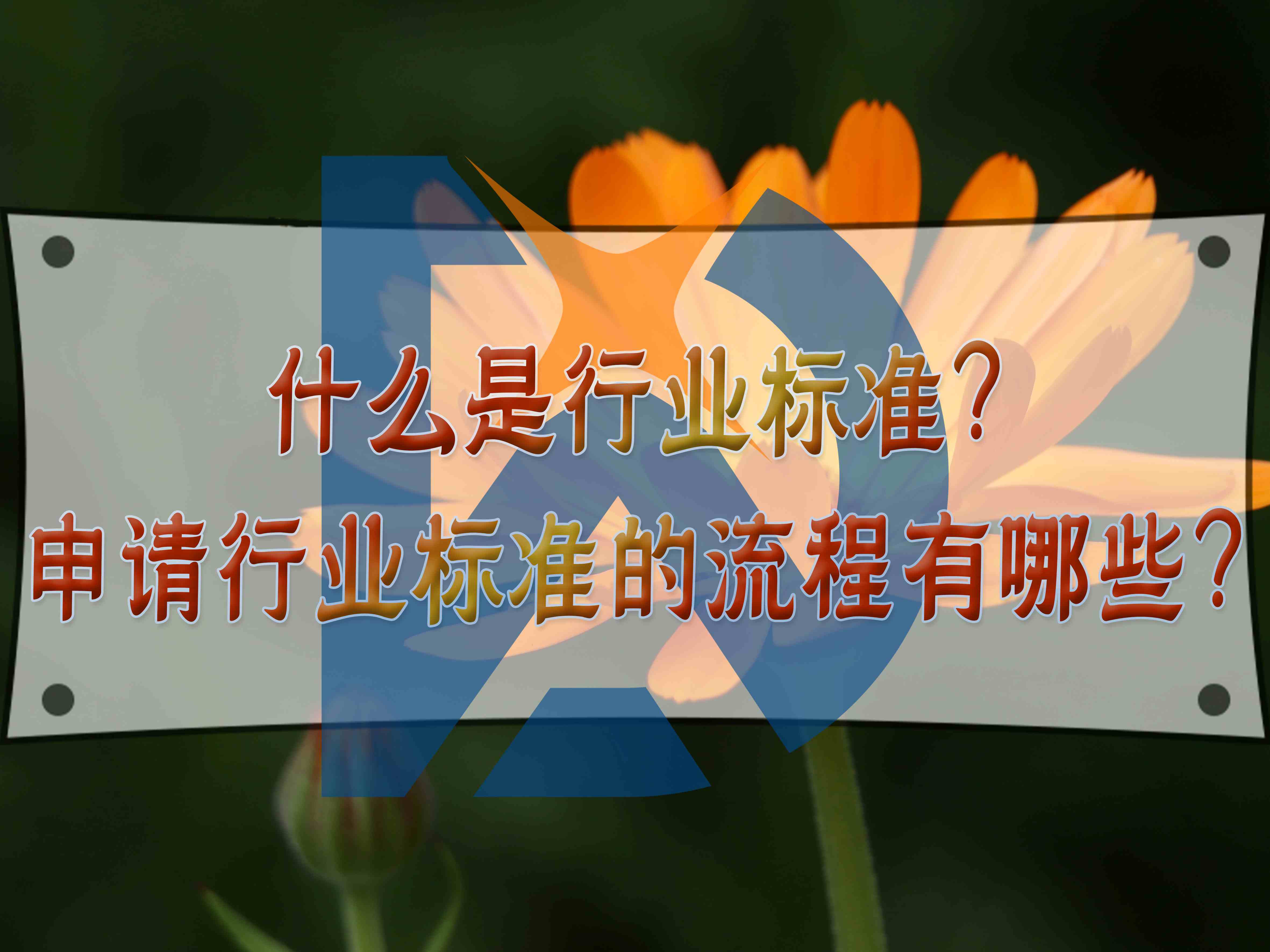 什么是行業(yè)標準？申請行業(yè)標準的流程有哪些？
