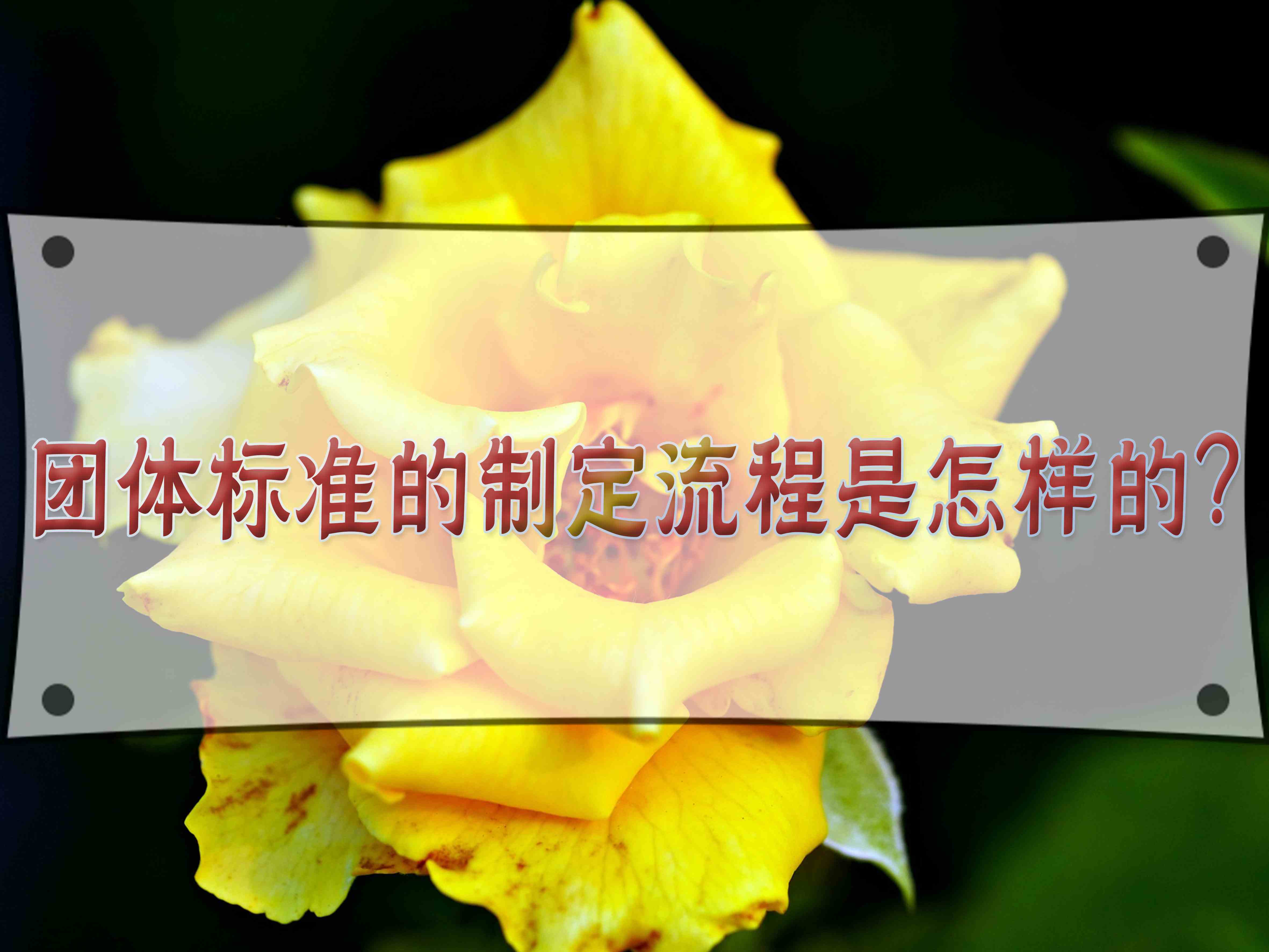 團(tuán)體標(biāo)準(zhǔn)的制定流程是怎樣的？