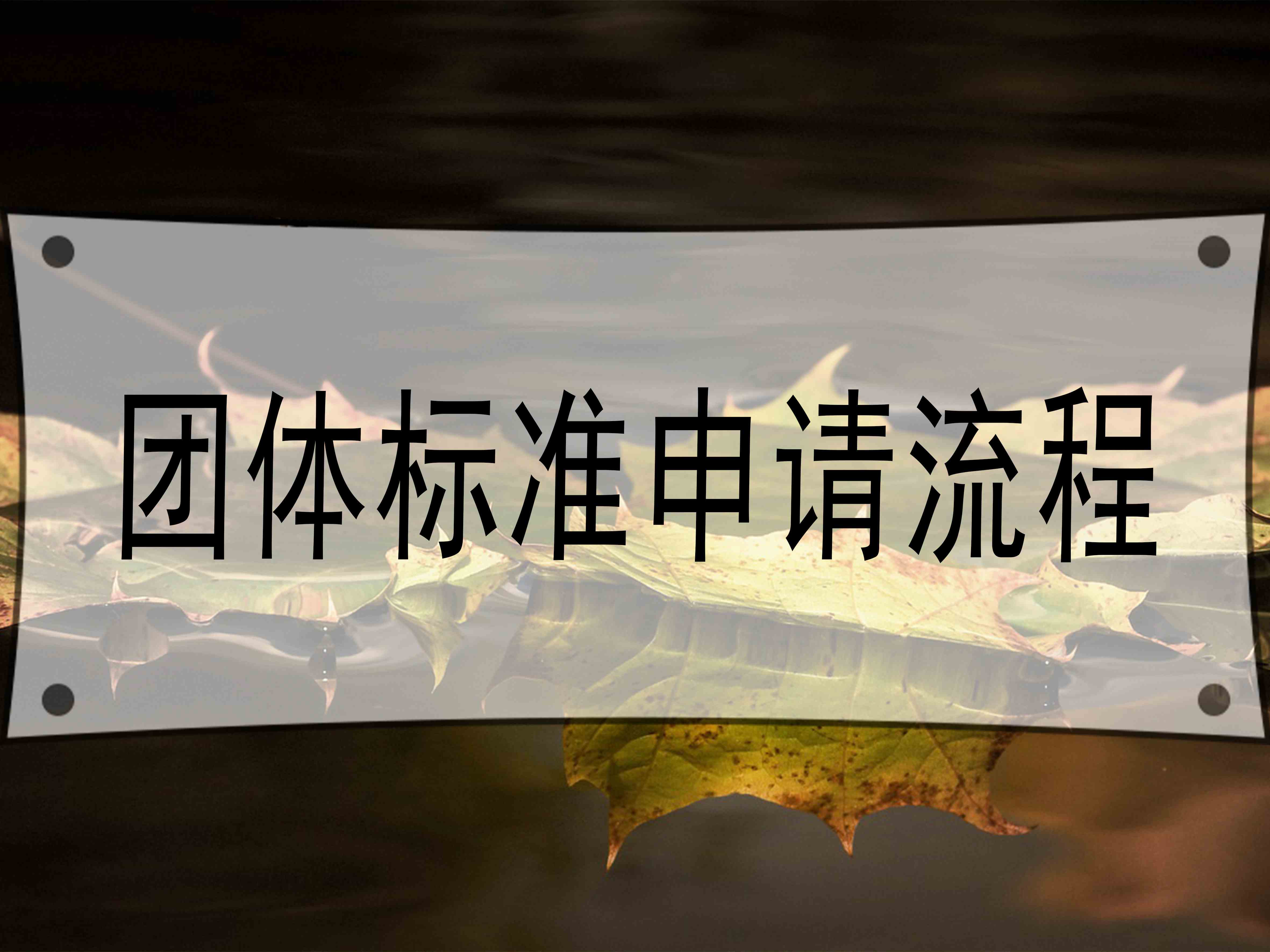 團(tuán)體標(biāo)準(zhǔn)申請(qǐng)流程