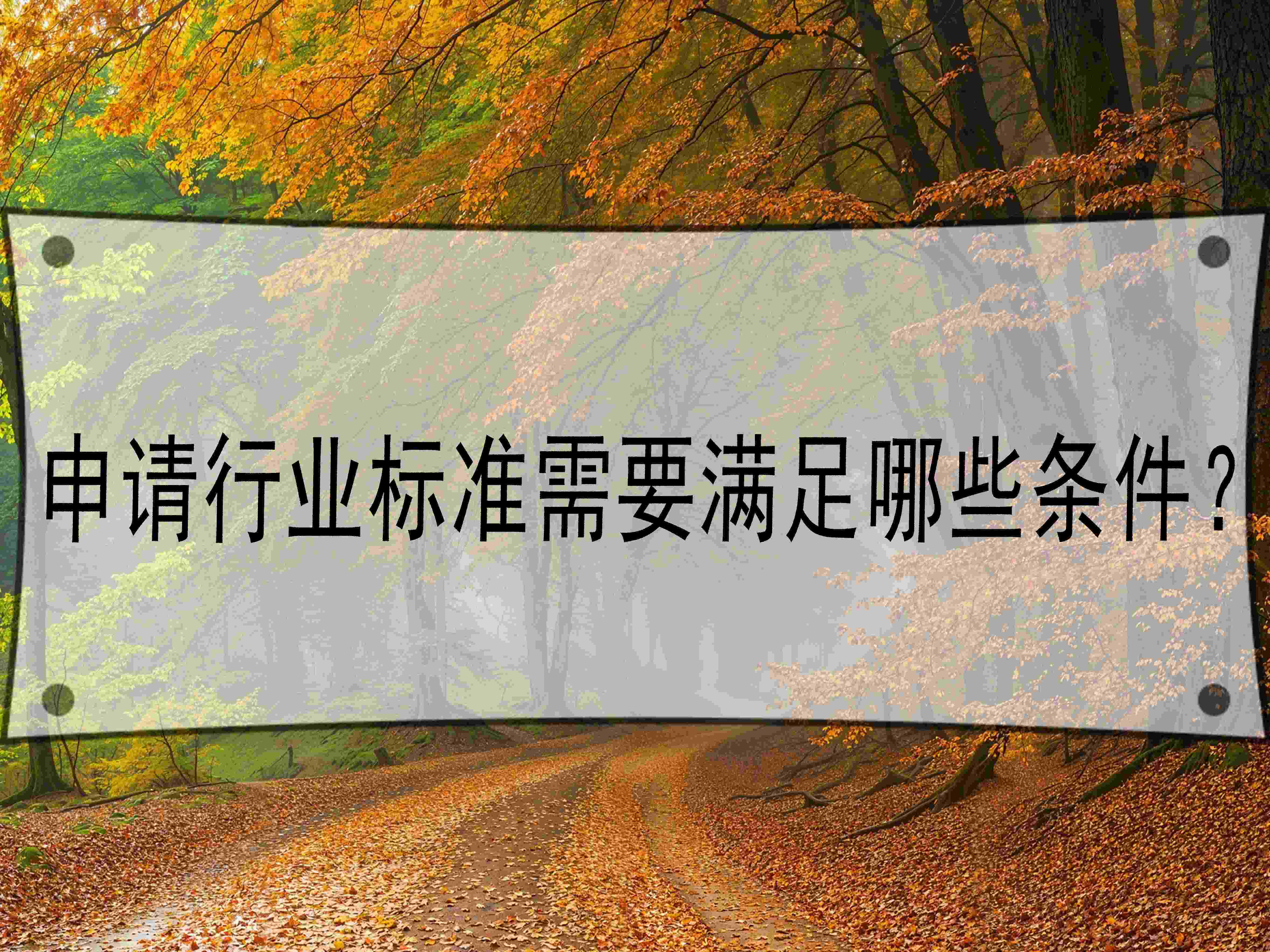申請(qǐng)行業(yè)標(biāo)準(zhǔn)需要滿足哪些條件？